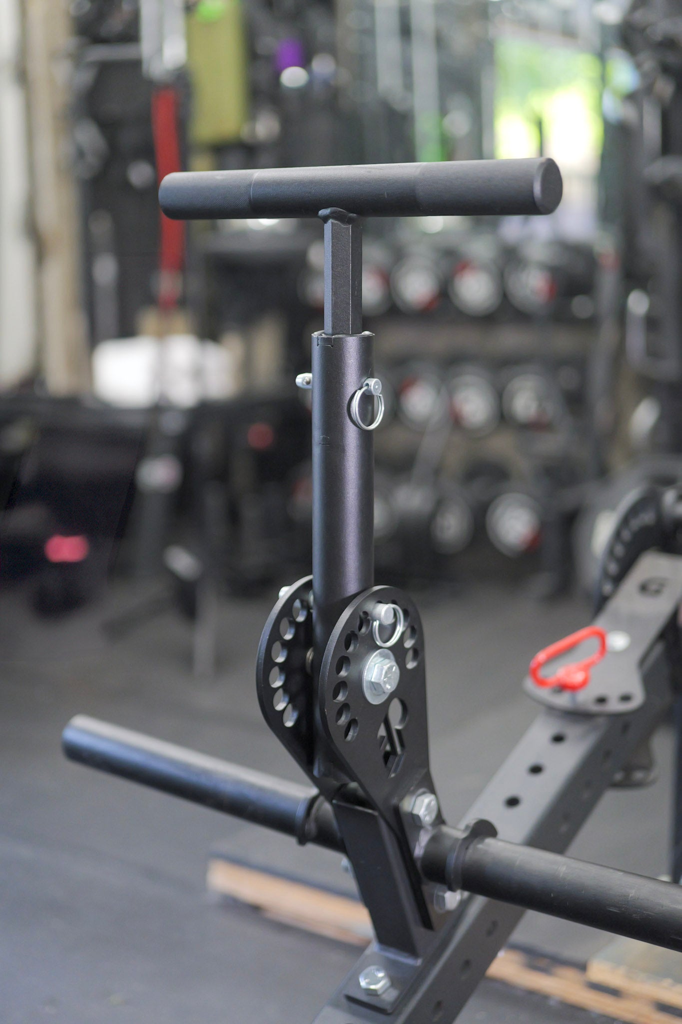 TNT Hellbox Belt Squat Attachment